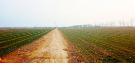 田地