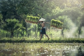 勤劳