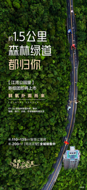 生态 树林 马路 养身