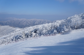 哇大雪