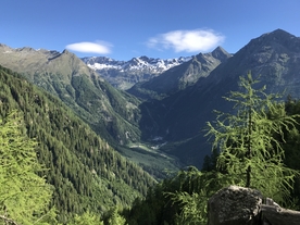 山脉 树林