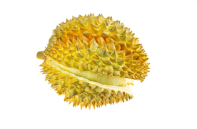 榴莲