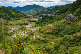 梯田风景