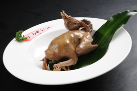 一品皇油鸽