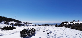 雪景