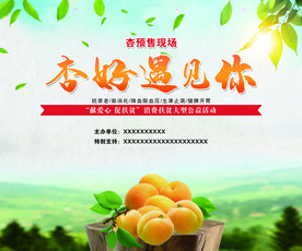 杏 助农背景板