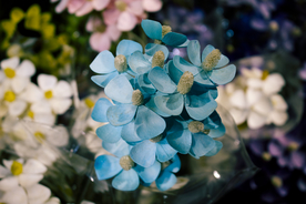 永生花