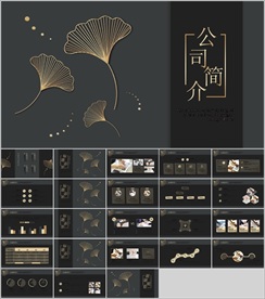 工作总结PPT 商务 简约