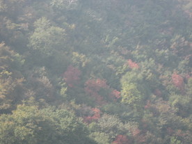 山色