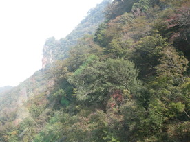 山色