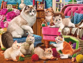 猫咪一家亲