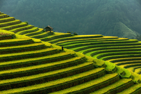 梯田风景