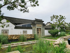 西溪湿地