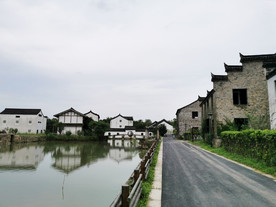 西溪湿地