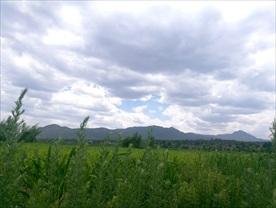草原 丽江 白云 摄影 风景