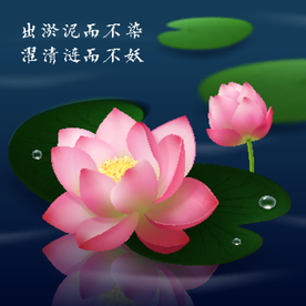 矢量荷花荷叶