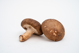 香菇草菇配料食材背景素材