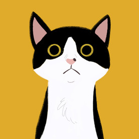猫插画
