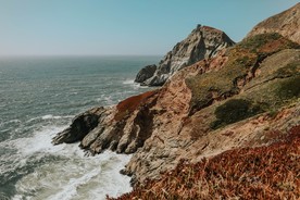 海