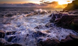 海