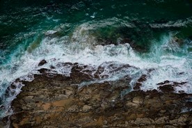 海