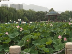 泰安东湖公园