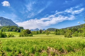 唯美风景