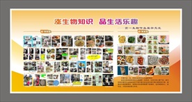 橙色展板模板