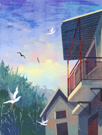 屋顶天空郊外飞鸟清新插画背景