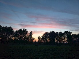田野夕阳