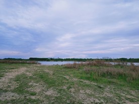 城市景观