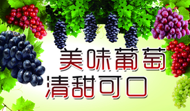 葡萄