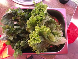 蔬菜拼盘