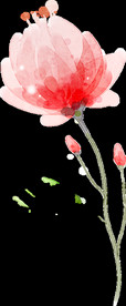 花朵