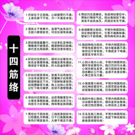 十四筋络