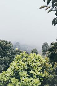 深山