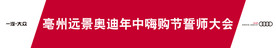 奥迪条幅