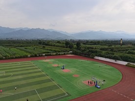 美丽的校园环境