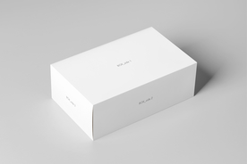 快递包装纸箱立体样机