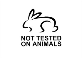 兔子 元素 动物 矢量图