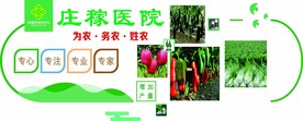 庄稼医院
