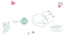 猫咪