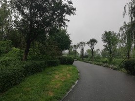 公园内的道路