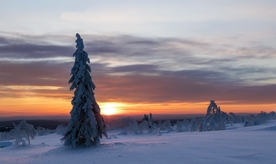夕阳雪景