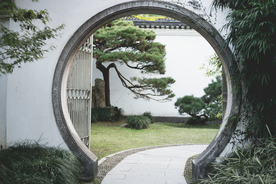 庭院