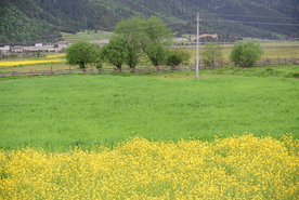 蓝天白云山峰