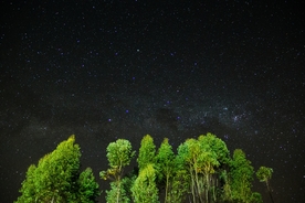 森林 星空