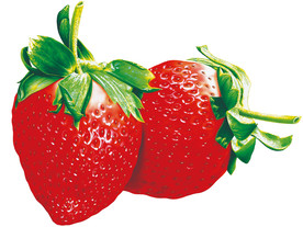草莓