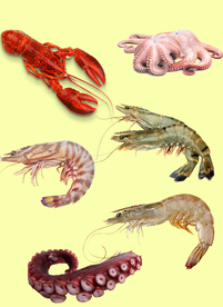 大虾海鲜
