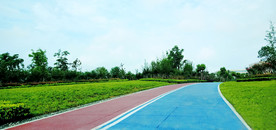 公园
